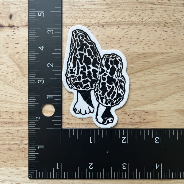 Morel Mushrooms Sticker – weatherproof adhesive, UV protective laminate