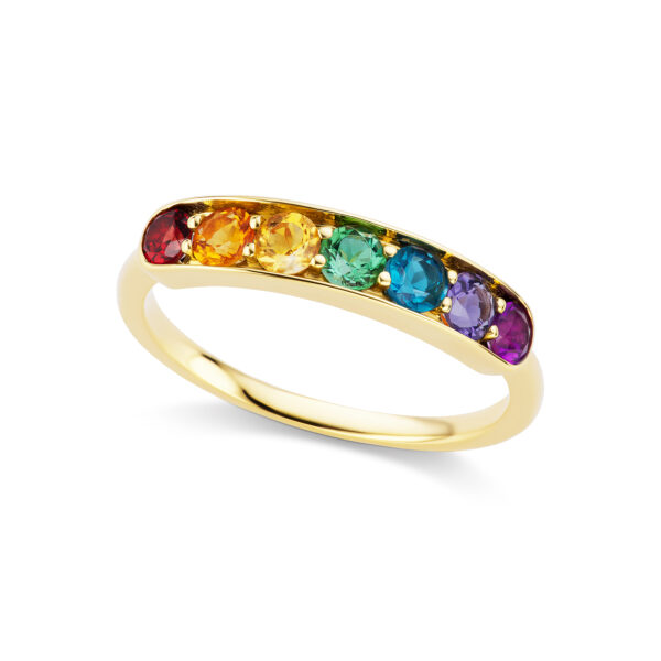 Cirque Large Half Eternity Band with Rainbow Gemstones