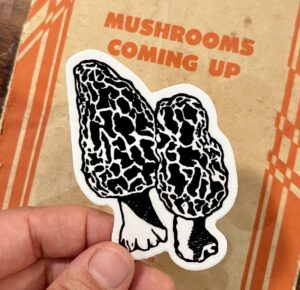 Morel Mushrooms Sticker - weatherproof adhesive, UV protective laminate