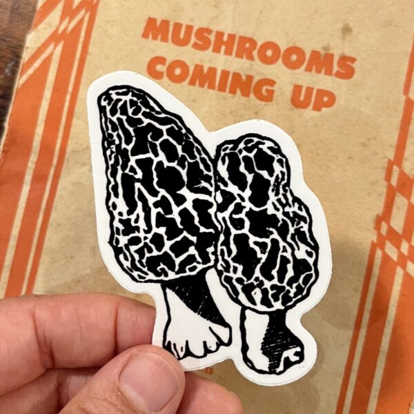 Morel Mushrooms Sticker – weatherproof adhesive, UV protective laminate