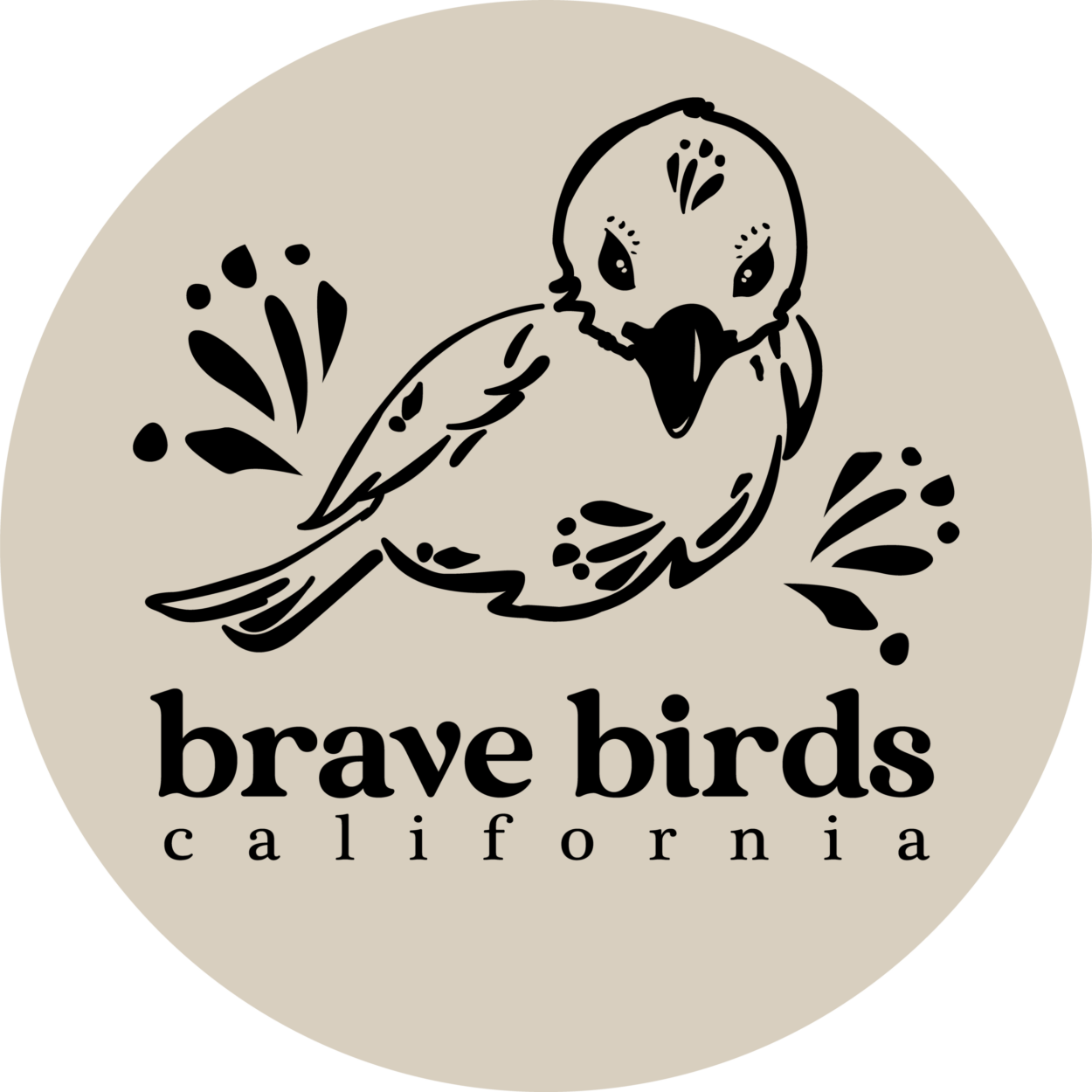 Brave Birds California