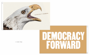 Democracy Forward + BS Records 5' x 3' Flag (Limited Edition)