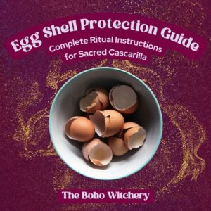 Egg Shell Protection Guide
