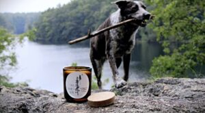 Irish Goodbye-Tobacco & Sandalwood