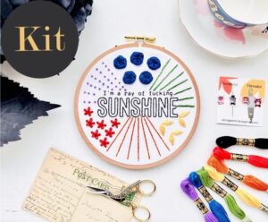 I'm a ray of fucking sunshine - Beginner Embroidery Stitch Sampler // 6 inch embroidery kit