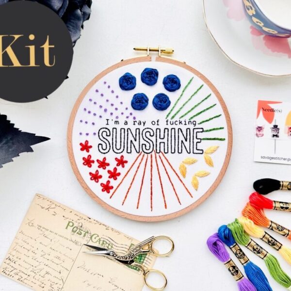 I’m a ray of fucking sunshine – Beginner Embroidery Stitch Sampler // 6 inch embroidery kit