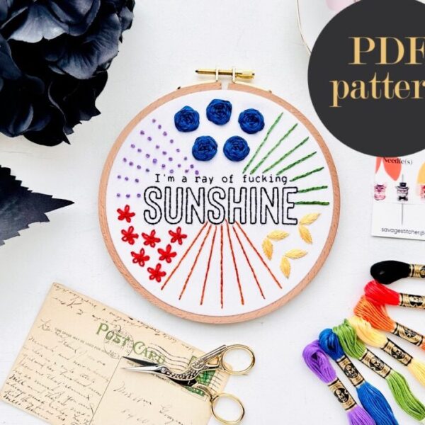 I’m a ray of fucking sunshine – Beginner Embroidery Stitch Sampler // Embroidery PDF Pattern Download 6 inch