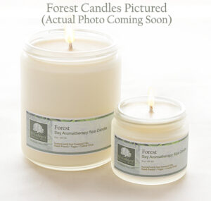 Ginger Glow - Soy Aromatherapy Spa Candle