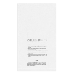 Kitchen Towel - Voting Rights - Defined: Terms for Our Time