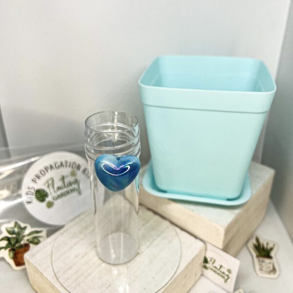Kids Propagation Kit – Hearts