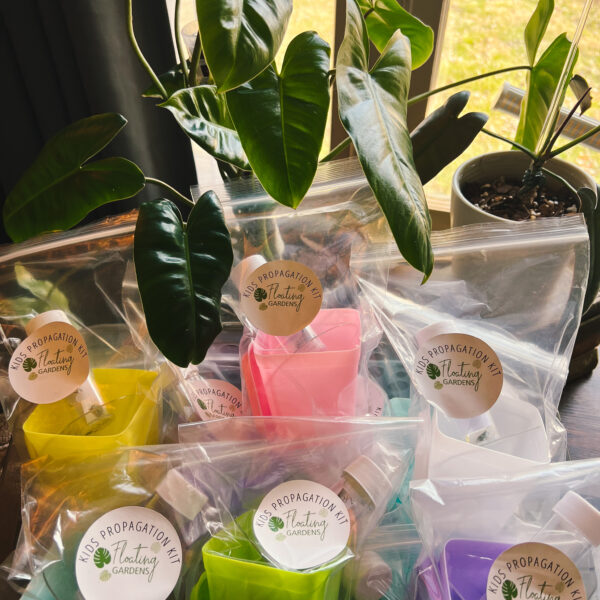 Kids Propagation Kit – Original